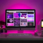 Why WordPress Website is Best for Small Business in India_Swap Digital